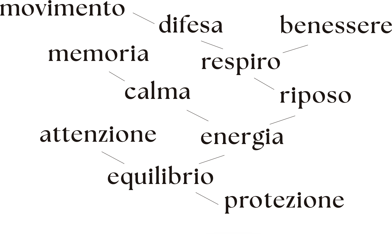 Rete di parole del benessere: movimento, difesa, benessere, memoria, respiro, calma, riposo, attenzione, energia, equilibrio, protezione